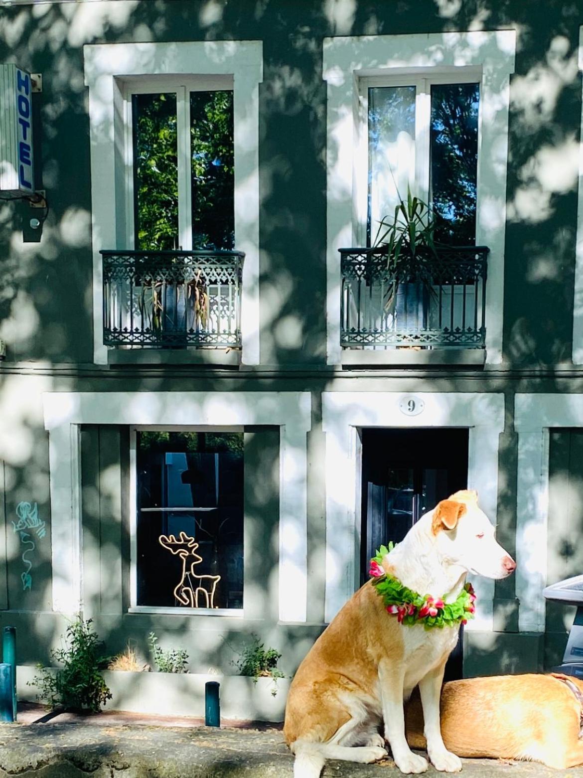 Superbe Grande Maison - Amis - Familles - Entreprises ตูลูส ภายนอก รูปภาพ